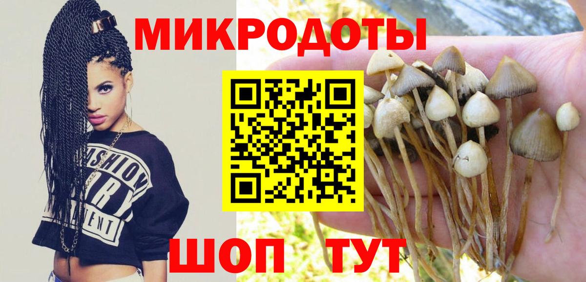 Малоярославец  Галлюциногенные грибы мухоморы  Вход с VPN 